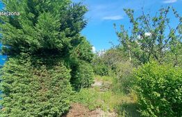 Oportunitate: Hala 865 mp și 1845 mp teren, deschidere bilaterala, zona Oltenia Garden!