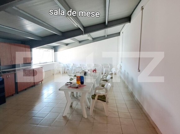 Spațiu industrial de vânzare Pielești - 119178SVI | BLITZ Craiova | Poza7