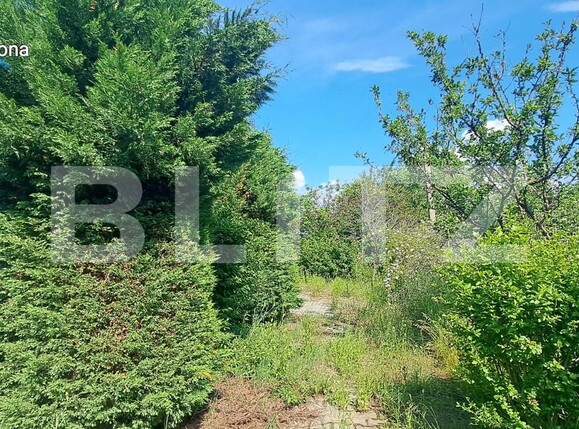 Spațiu industrial de vânzare Pielești - 119178SVI | BLITZ Craiova | Poza14