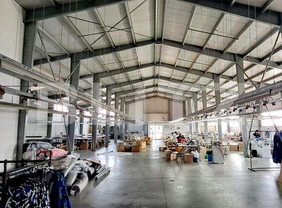 Spațiu industrial de vânzare Pielești - 119178SVI | BLITZ Craiova | Poza10