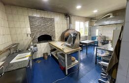 Proprietate tip Hotel 370 mp, 14791 mp teren, Isalnita