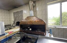 Proprietate tip Hotel 370 mp, 14791 mp teren, Isalnita