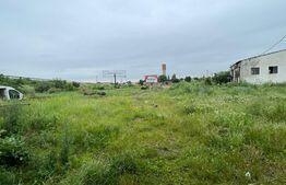 Proprietate tip Hotel 370 mp, 14791 mp teren, Isalnita