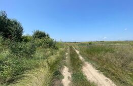 Parcele teren intravilan, 1600 mp, Malu Mare