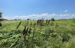 Parcele teren intravilan, 1600 mp, Malu Mare