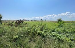 Parcele teren intravilan, 1600 mp, Malu Mare