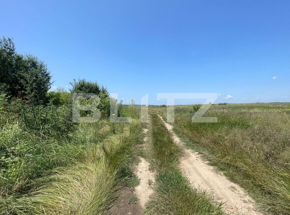 Teren de vânzare Malu Mare - 119246TV | BLITZ Craiova | Poza1