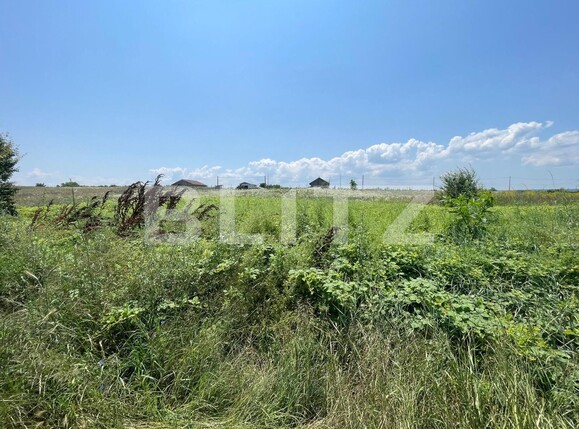 Teren de vânzare Malu Mare - 119246TV | BLITZ Craiova | Poza3