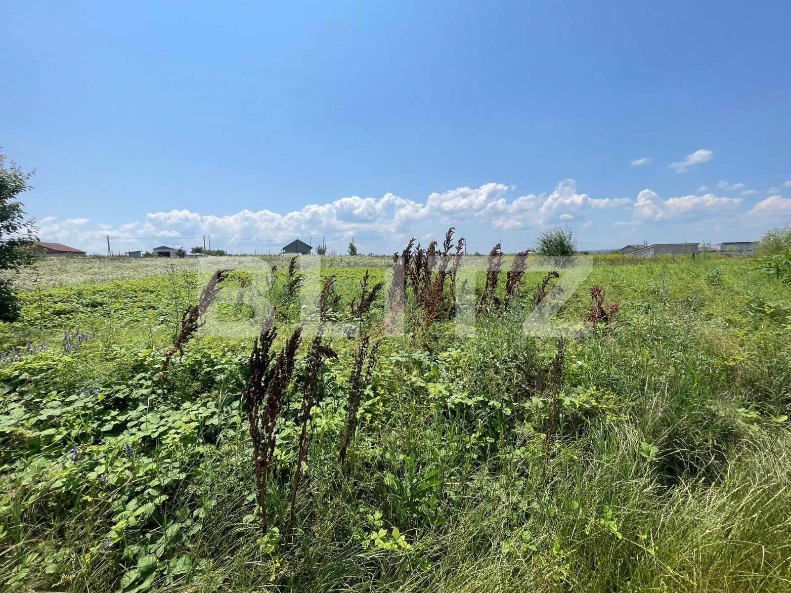 Teren de vânzare Malu Mare - 119246TV | BLITZ Craiova | Poza2