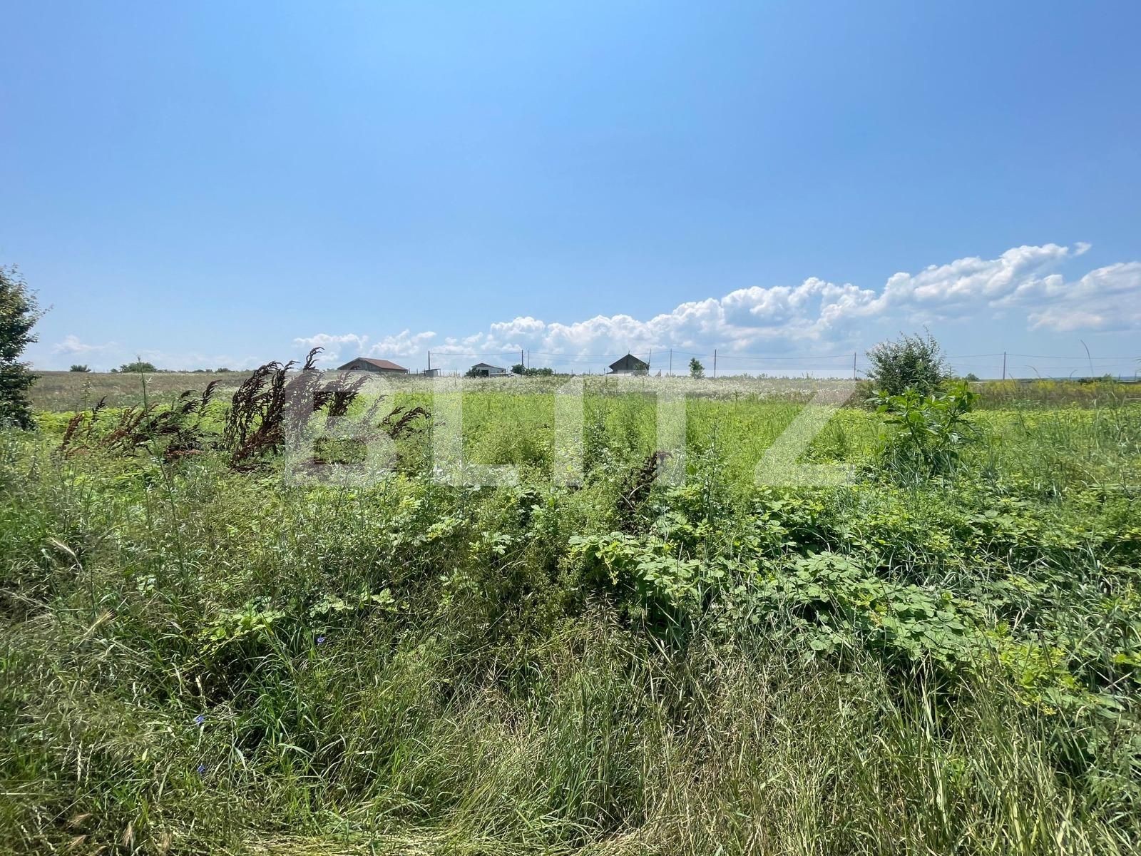 Teren de vânzare Malu Mare - 119246TV | BLITZ Craiova | Poza3