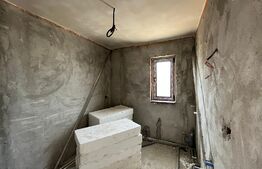 Case P + E, 120 mp utili, 3/400 mp teren, zona Selgros