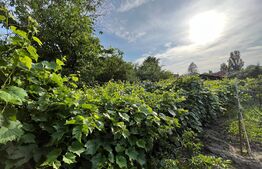 Casă D + P 150 mp utili și teren 1.347 mp, zona Stadionului