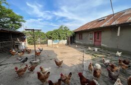 Casă D + P 150 mp utili și teren 1.347 mp, zona Stadionului