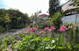 Casă D + P 150 mp utili și teren 1.347 mp, zona Stadionului