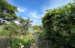 Casă D + P 150 mp utili și teren 1.347 mp, zona Stadionului