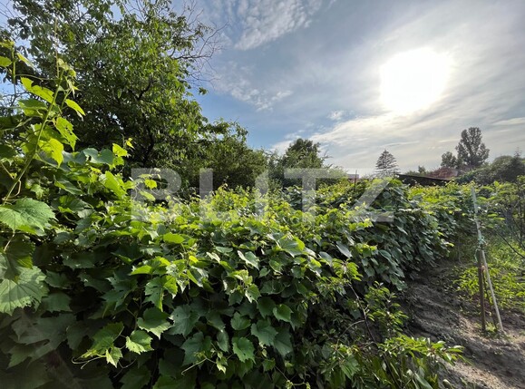 Casa de vânzare 5 camere Brestei - 119509CV | BLITZ Craiova | Poza17