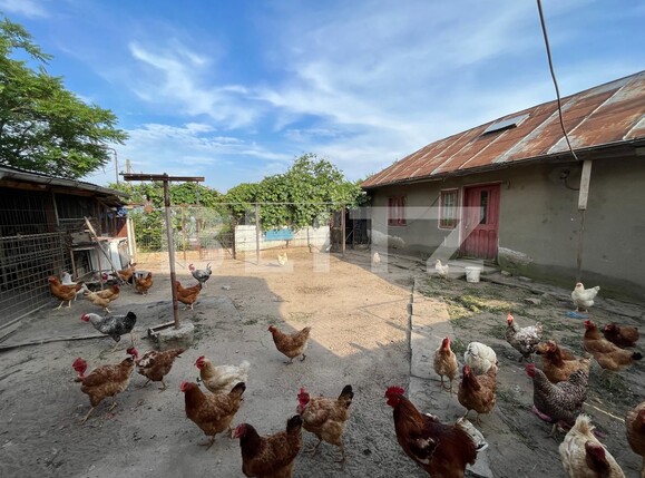 Casa de vânzare 5 camere Brestei - 119509CV | BLITZ Craiova | Poza15