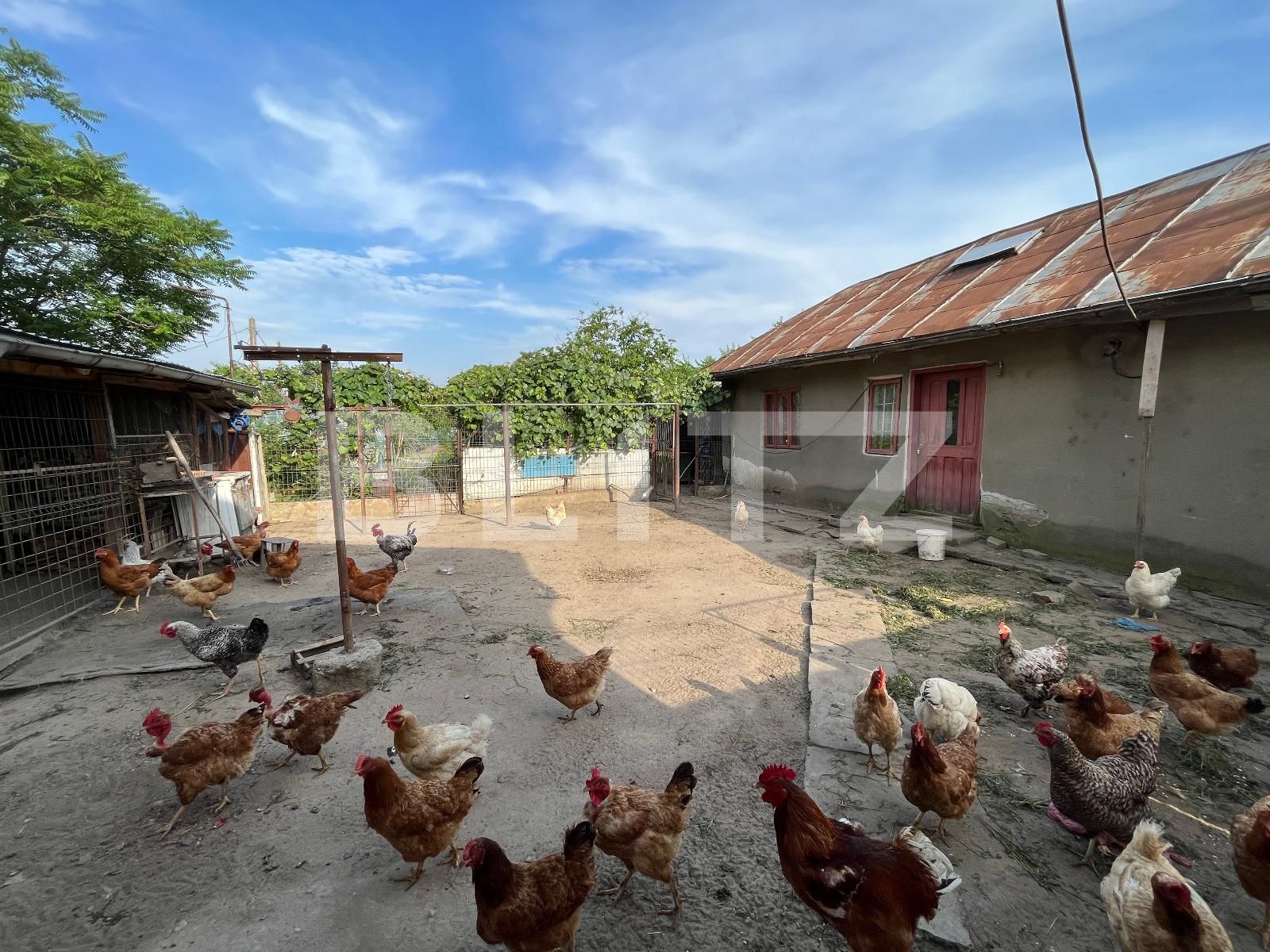 Casa de vânzare 5 camere Brestei - 119509CV | BLITZ Craiova | Poza15