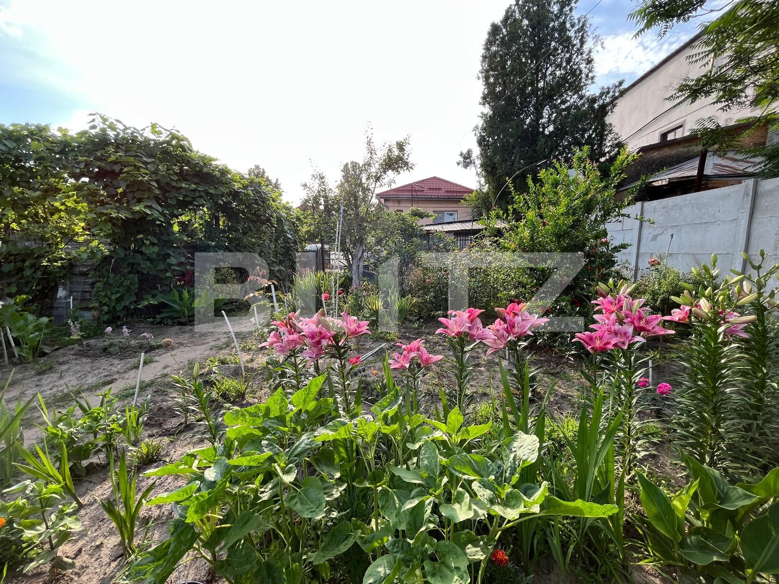 Casa de vânzare 5 camere Brestei - 119509CV | BLITZ Craiova | Poza19