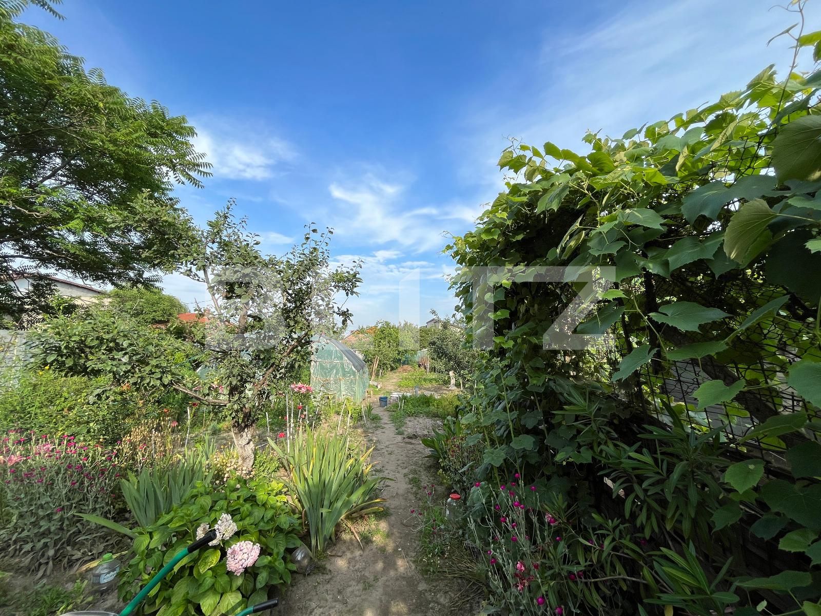 Casa de vânzare 5 camere Brestei - 119509CV | BLITZ Craiova | Poza16