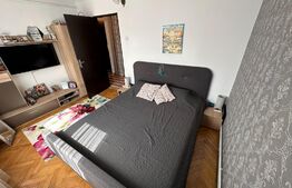 Apartament de 3 camere, semidecomandat, centrala termica, Lapus, zona Electroputere