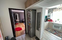 Apartament de 3 camere, semidecomandat, centrala termica, Lapus, zona Electroputere