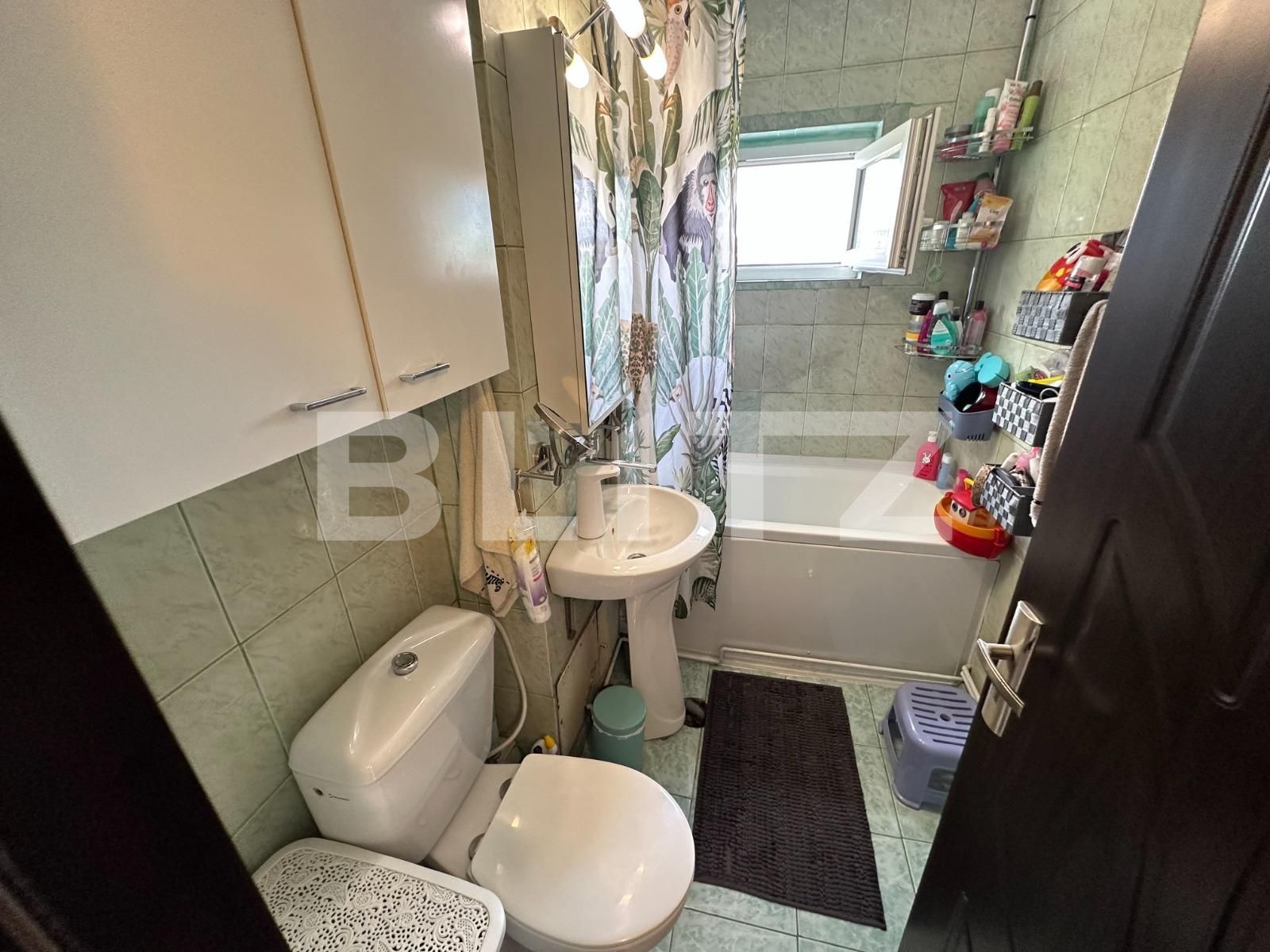 Apartament de vânzare 3 camere Lapus - 119588AV | BLITZ Craiova | Poza6