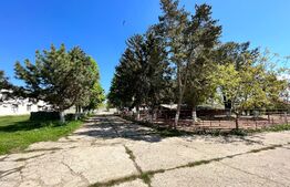 OPORTUNITATE! 8 hale de peste 16.000 mp, teren intravilan 4,5 ha, cu toate utilitățile, Brădești