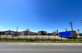 OPORTUNITATE! 8 hale de peste 16.000 mp, teren intravilan 4,5 ha, cu toate utilitățile, Brădești