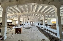 OPORTUNITATE! 8 hale de peste 16.000 mp, teren intravilan 4,5 ha, cu toate utilitățile, Brădești