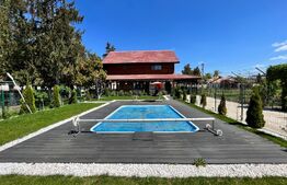 OPORTUNITATE! 8 hale de peste 16.000 mp, teren intravilan 4,5 ha, cu toate utilitățile, Brădești