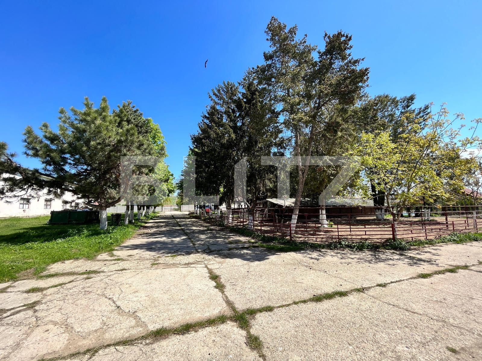 Spațiu industrial de vânzare Vest - 119629SVI | BLITZ Craiova | Poza15