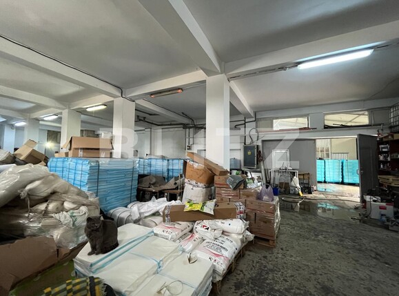 Spațiu industrial de vânzare Brestei - 119638SVI | BLITZ Craiova | Poza7