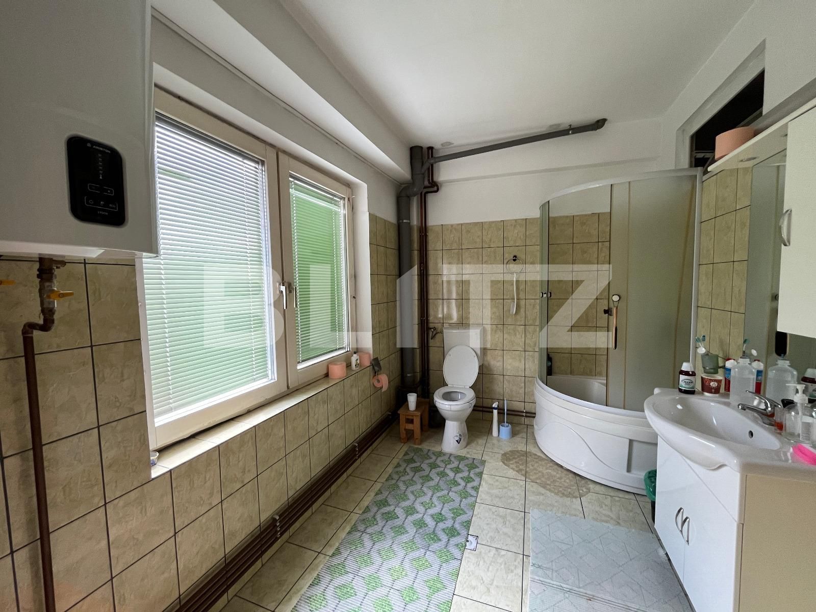 Spațiu industrial de vânzare Brestei - 119638SVI | BLITZ Craiova | Poza16