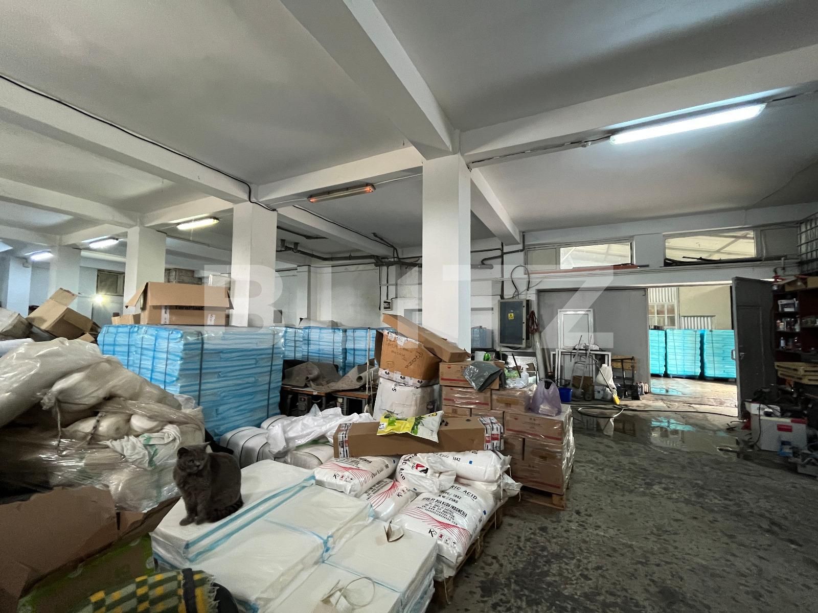 Spațiu industrial de vânzare Brestei - 119638SVI | BLITZ Craiova | Poza7