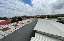 Hale pe parter 450 mp cu teren în față de 150 mp, zona Canal - Brestei