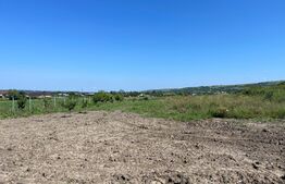 Casa P+E 186 mp utili, 3000 mp teren, Simnicul de Sus