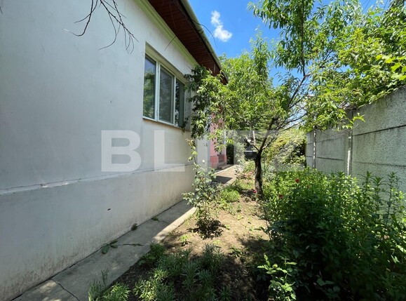 Casa de vânzare 4 camere Bariera Valcii - 119744CV | BLITZ Craiova | Poza9