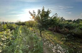 Casă frumoasă P + E de 170 mp utili, 1.500 mp teren, zona Mofleni