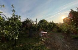 Casă frumoasă P + E de 170 mp utili, 1.500 mp teren, zona Mofleni