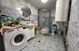 Casă frumoasă P + E de 170 mp utili, 1.500 mp teren, zona Mofleni