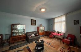 Casă frumoasă P + E de 170 mp utili, 1.500 mp teren, zona Mofleni