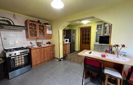 Casă frumoasă P + E de 170 mp utili, 1.500 mp teren, zona Mofleni