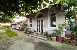 Casă frumoasă P + E de 170 mp utili, 1.500 mp teren, zona Mofleni