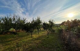 Casă frumoasă P + E de 170 mp utili, 1.500 mp teren, zona Mofleni