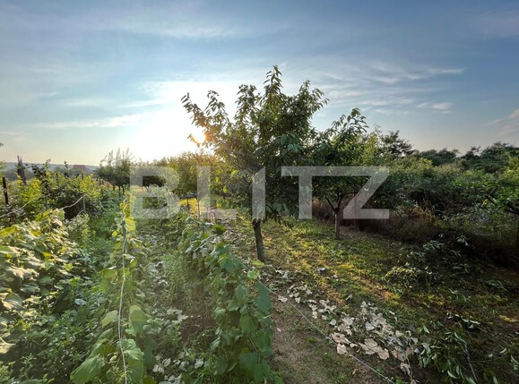 Casa de vânzare 6 camere Mofleni - 119785CV | BLITZ Craiova | Poza16