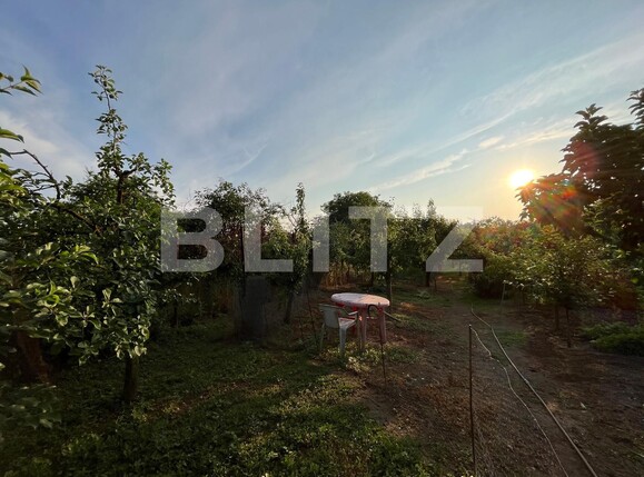 Casa de vânzare 6 camere Mofleni - 119785CV | BLITZ Craiova | Poza14