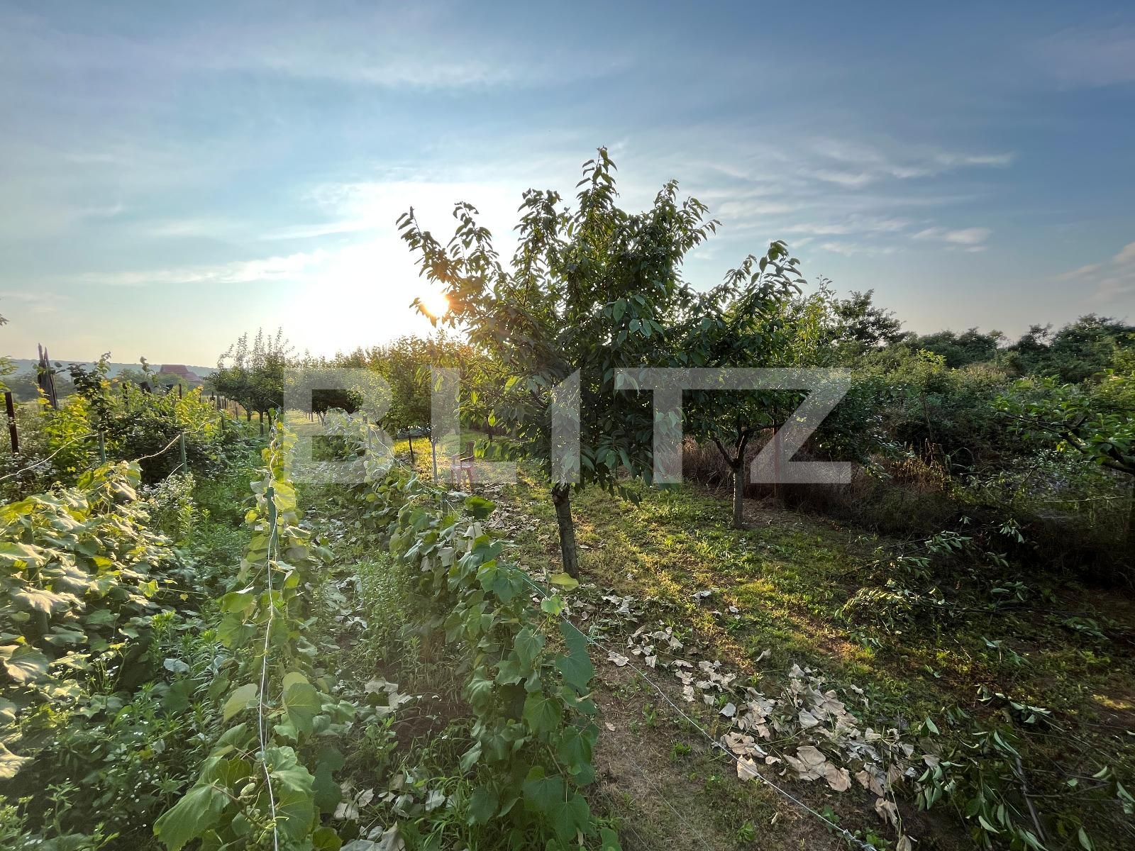 Casa de vânzare 6 camere Mofleni - 119785CV | BLITZ Craiova | Poza16