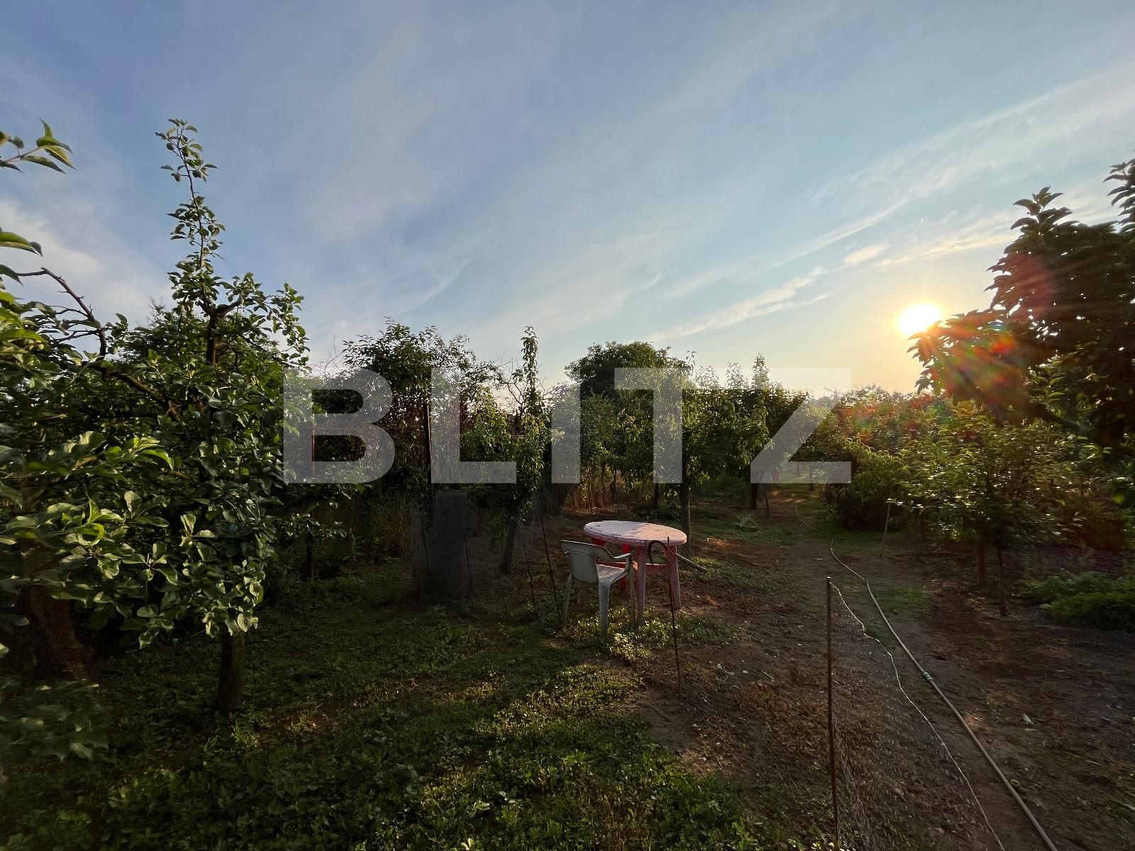 Casa de vânzare 6 camere Mofleni - 119785CV | BLITZ Craiova | Poza14