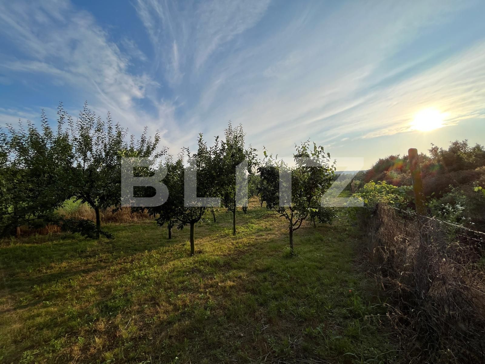 Casa de vânzare 6 camere Mofleni - 119785CV | BLITZ Craiova | Poza15